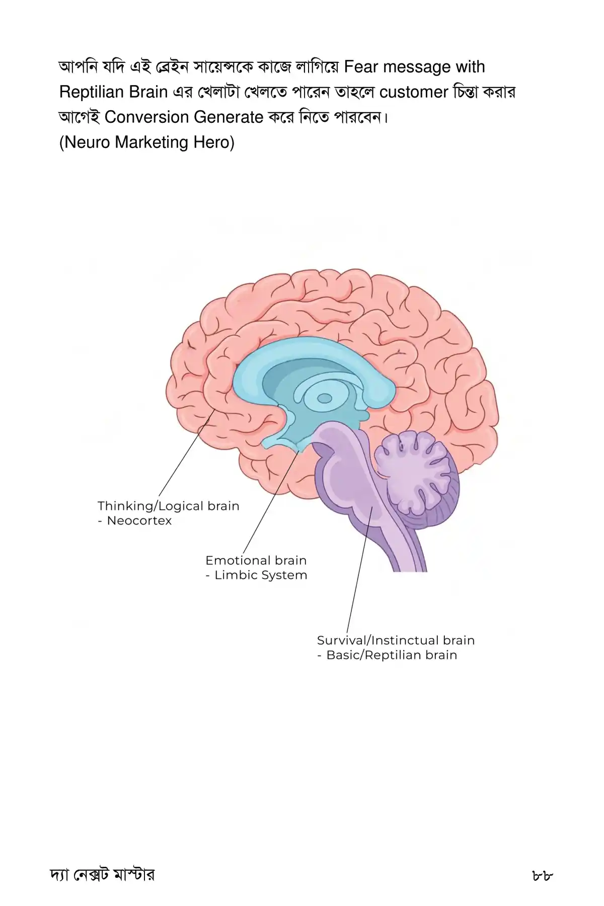 The Next Master Sample [15].png